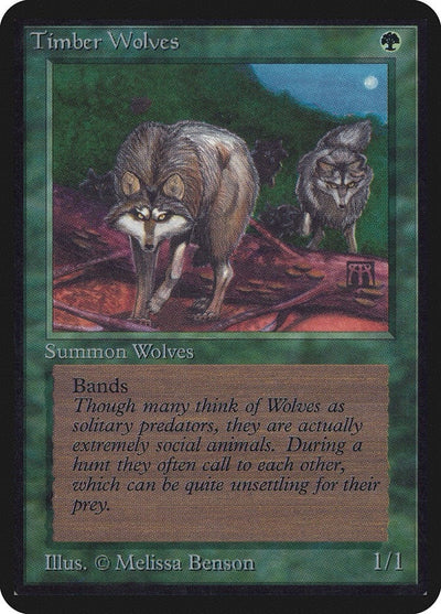 Timber Wolves (LEA)