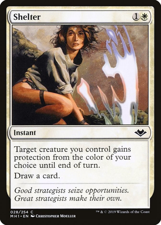 Shelter (28) (Modern Horizons)