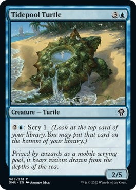 Tidepool Turtle (69) (Dominaria United) (Foil)