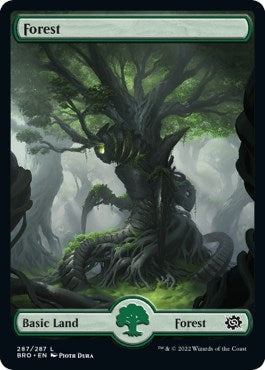 Forest (287) - Full Art (287) (The Brothers' War)