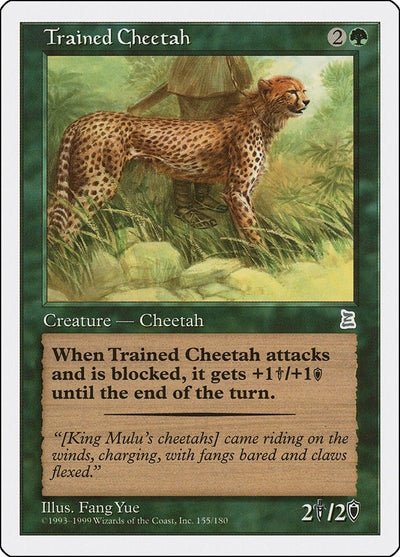 Trained Cheetah (155) (PTK)