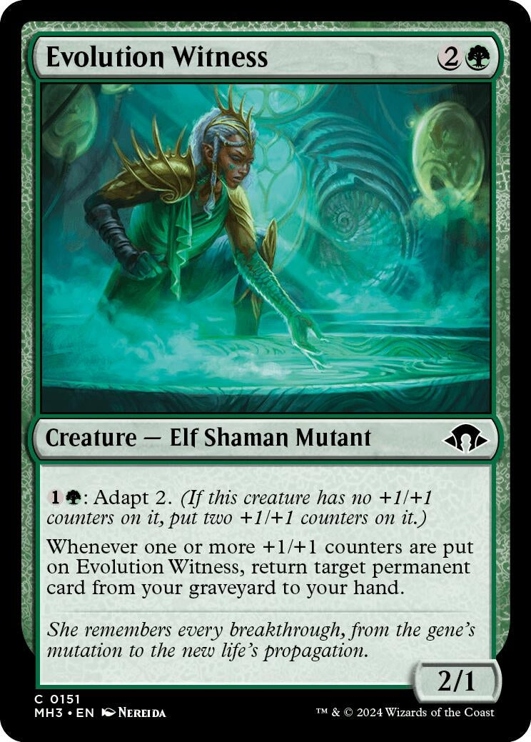 Evolution Witness (151) (Modern Horizons 3) (Foil)