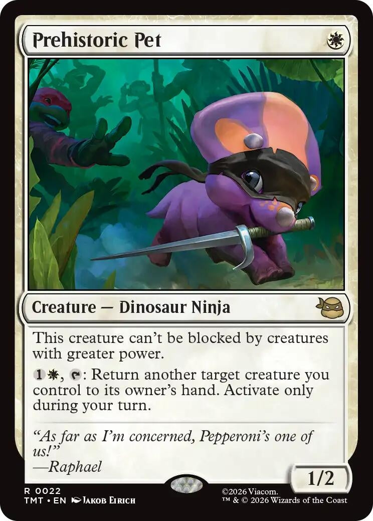 Prehistoric Pet (22) (Teenage Mutant Ninja Turtles)